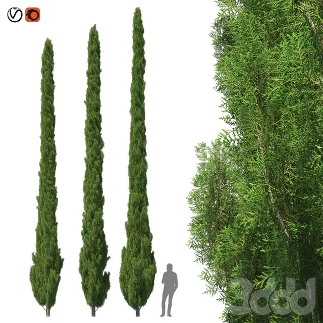PLANTS – TREE – 3D MODELS – FREE DOWNLOAD – 17312