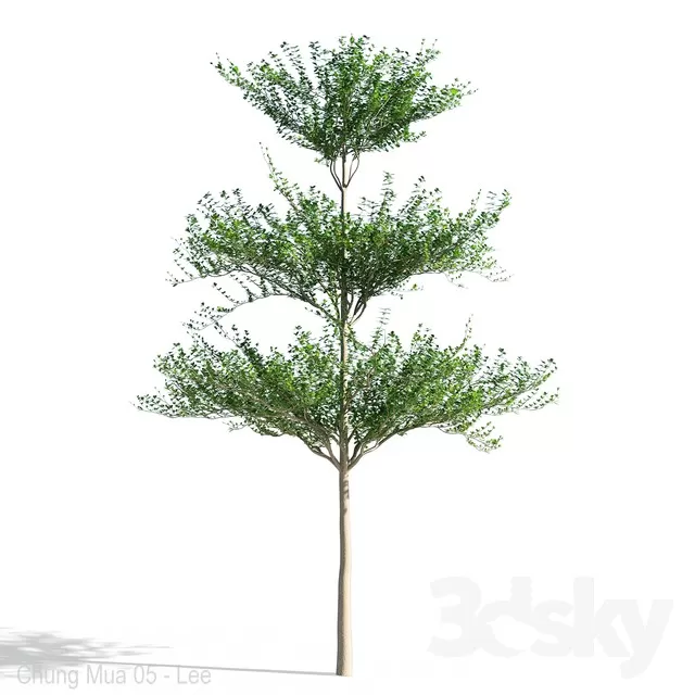 PLANTS – TREE – 3D MODELS – FREE DOWNLOAD – 17323
