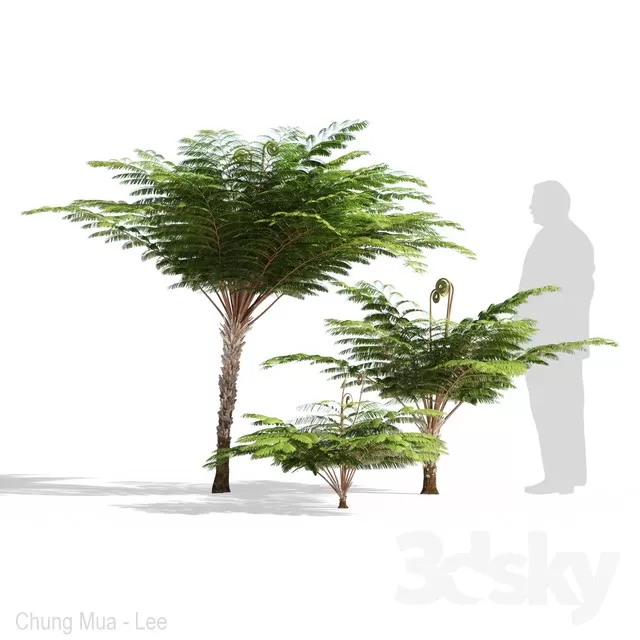 PLANTS – TREE – 3D MODELS – FREE DOWNLOAD – 17327