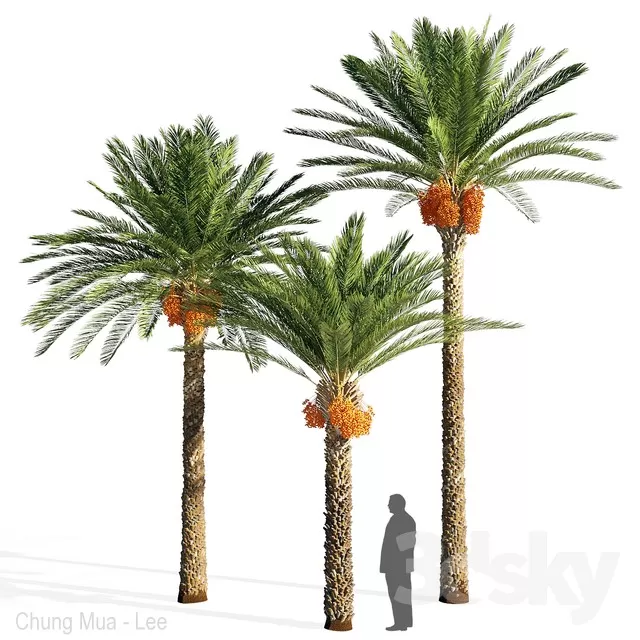 PLANTS – TREE – 3D MODELS – FREE DOWNLOAD – 17328