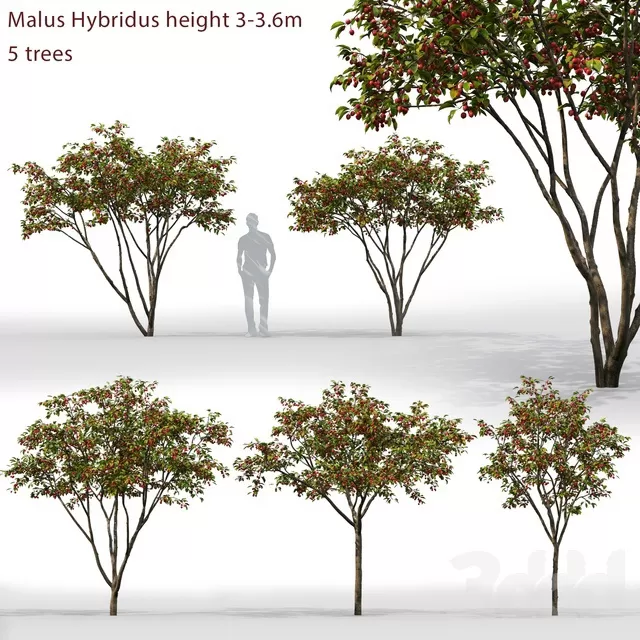PLANTS – TREE – 3D MODELS – FREE DOWNLOAD – 17355