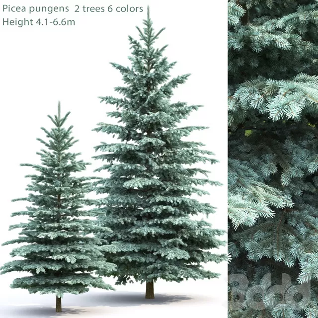 PLANTS – TREE – 3D MODELS – FREE DOWNLOAD – 17360