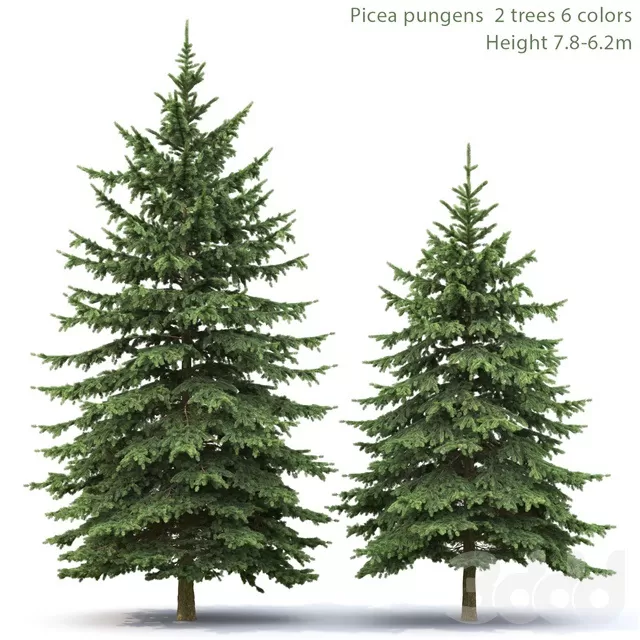 PLANTS – TREE – 3D MODELS – FREE DOWNLOAD – 17363
