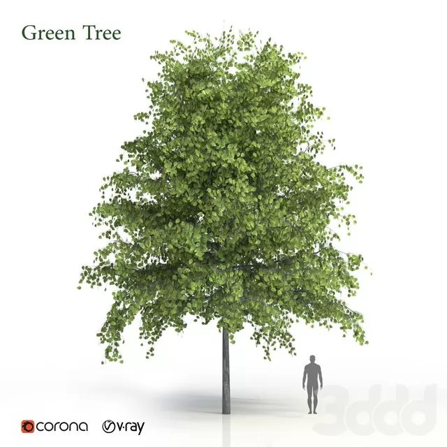 PLANTS – TREE – 3D MODELS – FREE DOWNLOAD – 17371