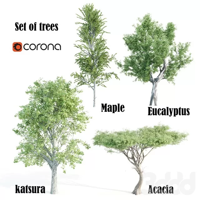 PLANTS – TREE – 3D MODELS – FREE DOWNLOAD – 17416