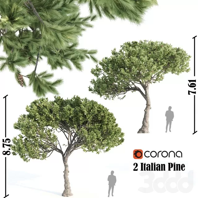 PLANTS – TREE – 3D MODELS – FREE DOWNLOAD – 17420