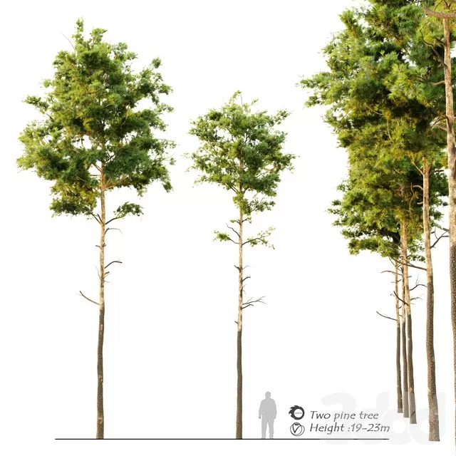 PLANTS – TREE – 3D MODELS – FREE DOWNLOAD – 17421