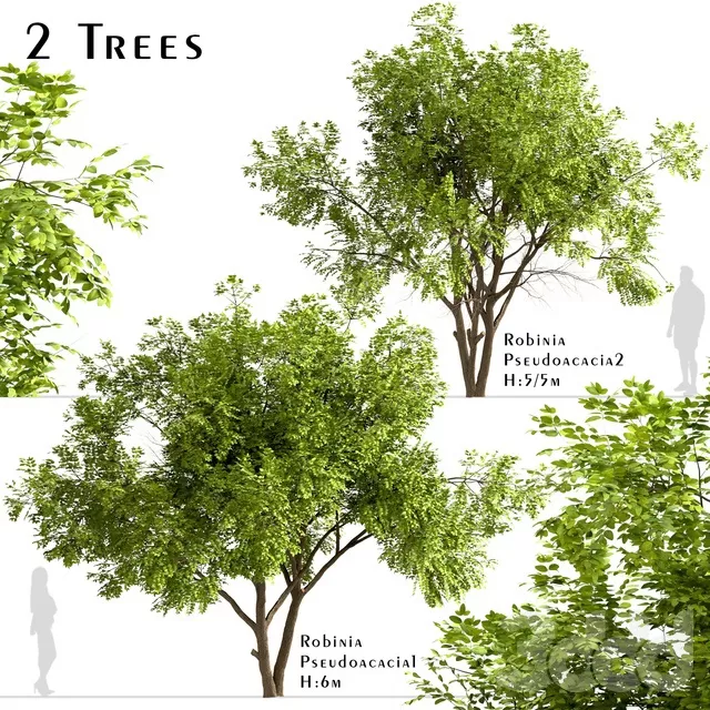 PLANTS – TREE – 3D MODELS – FREE DOWNLOAD – 17438