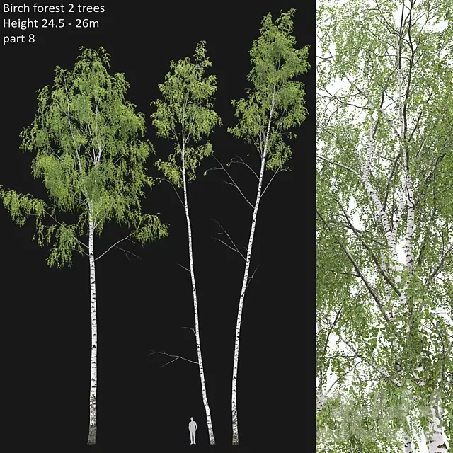 PLANTS – TREE – 3D MODELS – FREE DOWNLOAD – 17441