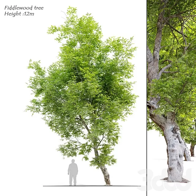 PLANTS – TREE – 3D MODELS – FREE DOWNLOAD – 17447