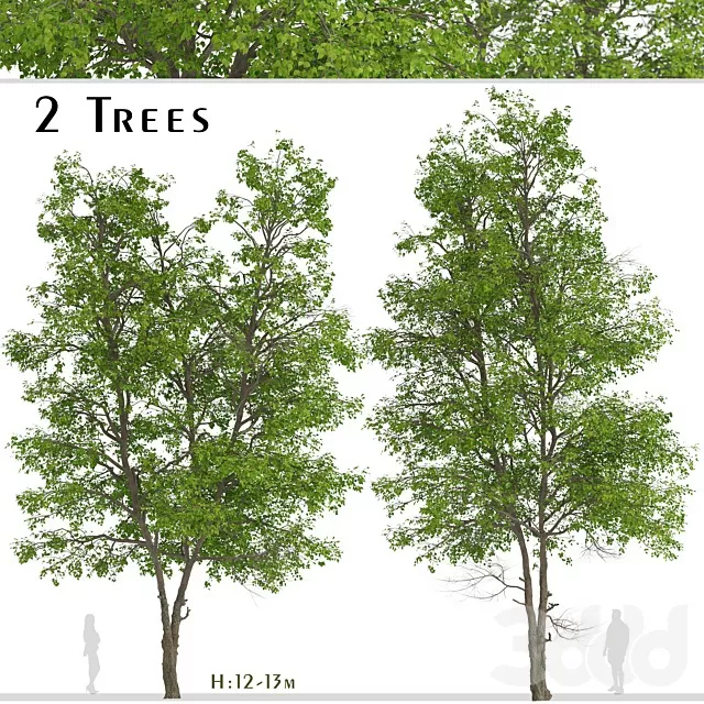 PLANTS – TREE – 3D MODELS – FREE DOWNLOAD – 17461