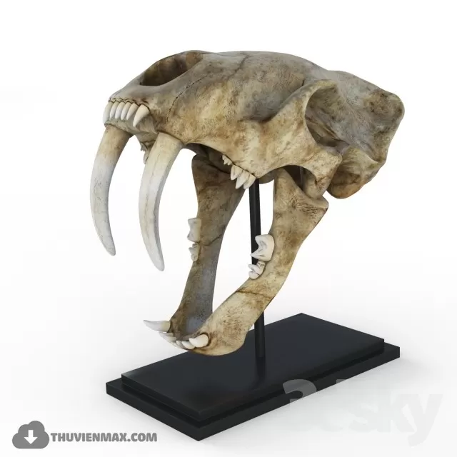 DECORATION 3DSKY – 849 DECORATION 3DSKY – 849