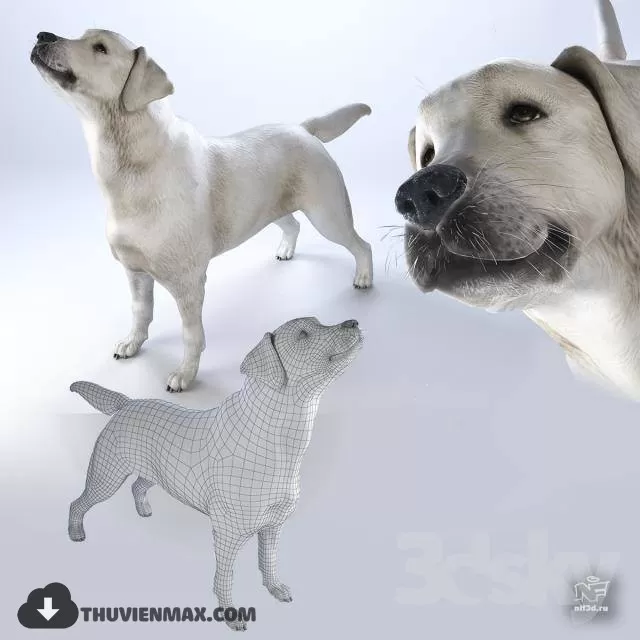 ANIMAL 3D MODEL – 009