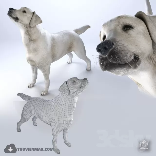 ANIMAL 3D MODEL – 021