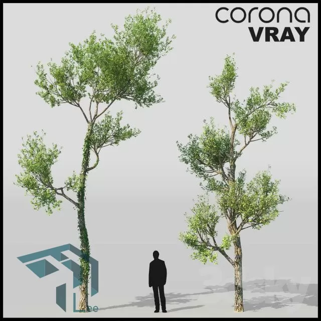 ARCHITECTURE – EXTERIOR – 3D – 028