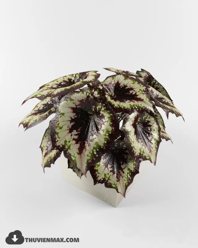 FLOWER – 3DMODEL – VASE – 004