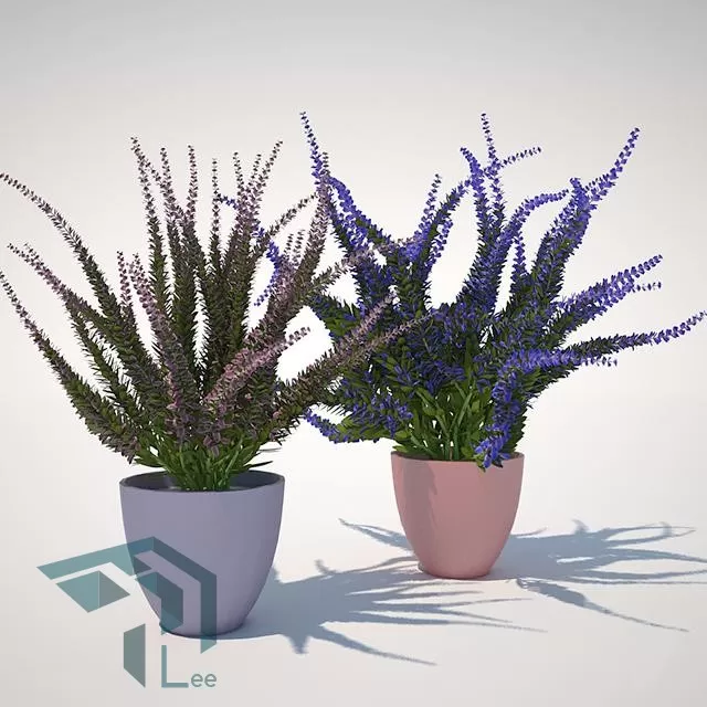 FLOWER – 3DMODEL – VASE – 031