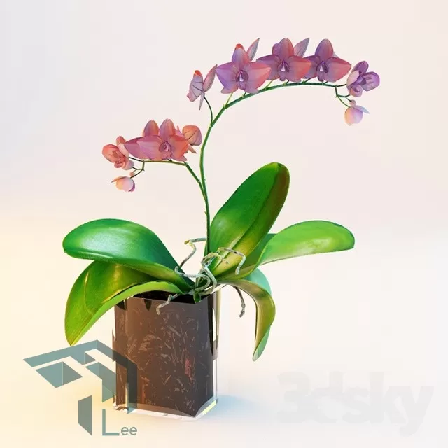 FLOWER – 3DMODEL – VASE – 039