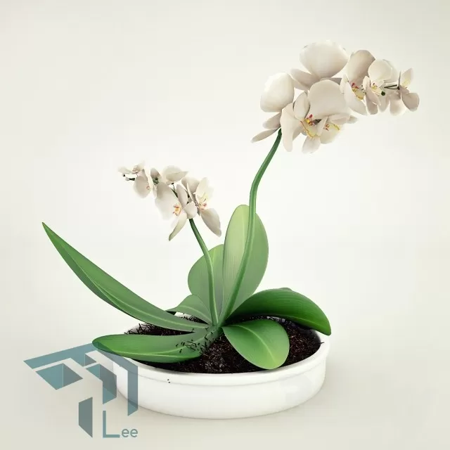 FLOWER – 3DMODEL – VASE – 041