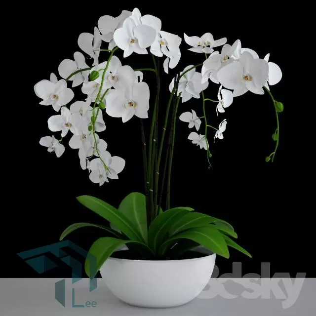FLOWER – 3DMODEL – VASE – 048
