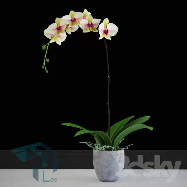 FLOWER – 3DMODEL – VASE – 055