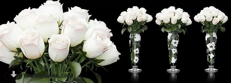 FLOWER – 3DMODEL – VASE – 077