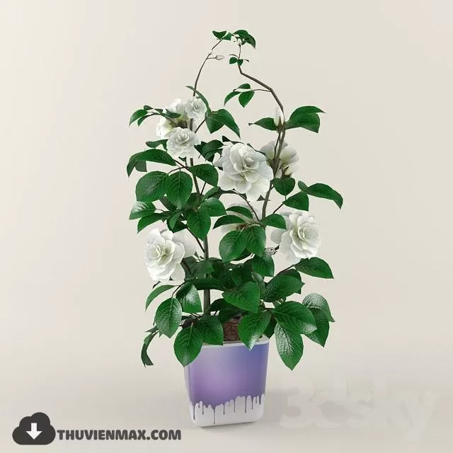 FLOWER – 3DMODEL – VASE – 078