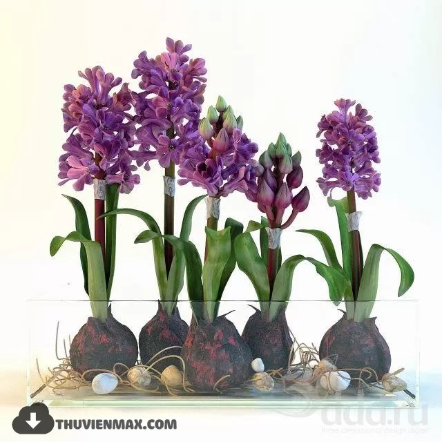 FLOWER – 3DMODEL – VASE – 080