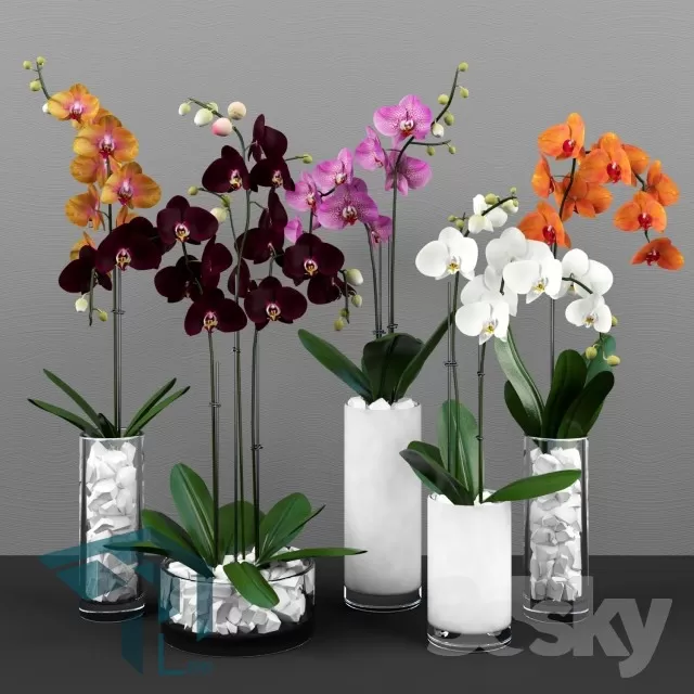 FLOWER – 3DMODEL – VASE – 164