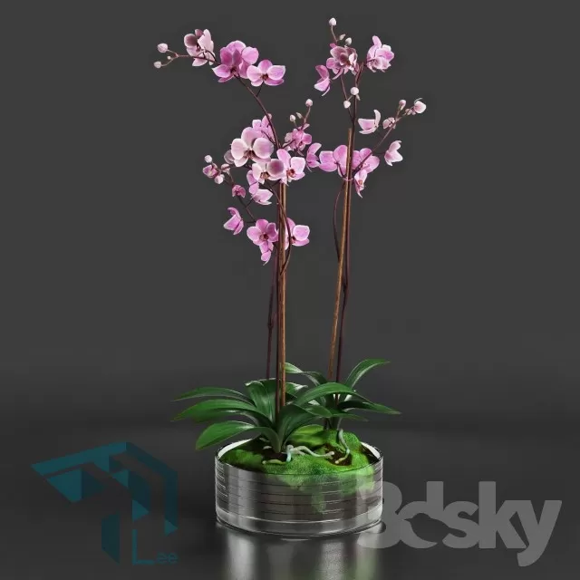 FLOWER – 3DMODEL – VASE – 198