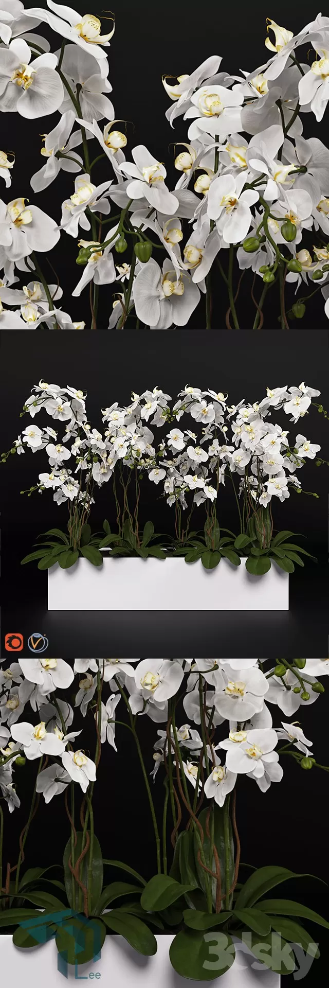 FLOWER – 3DMODEL – VASE – 215