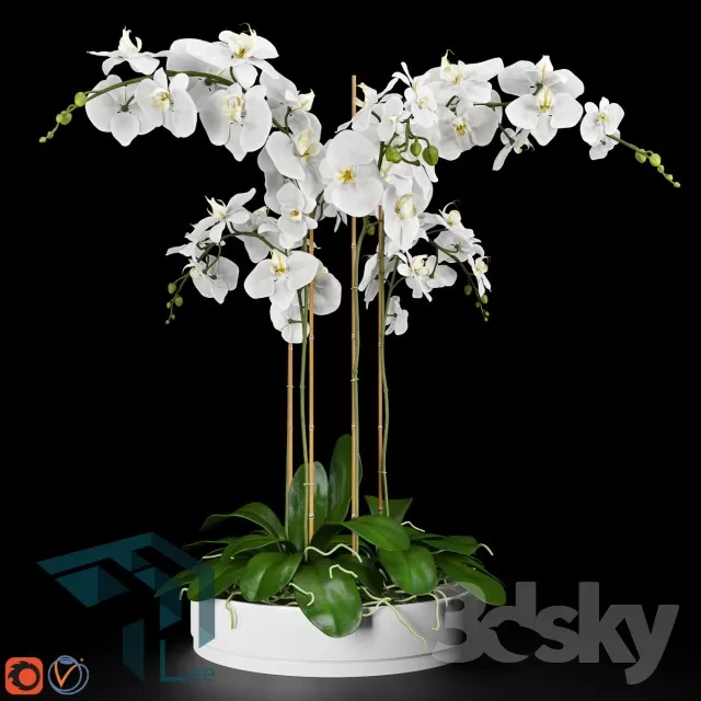 FLOWER – 3DMODEL – VASE – 222