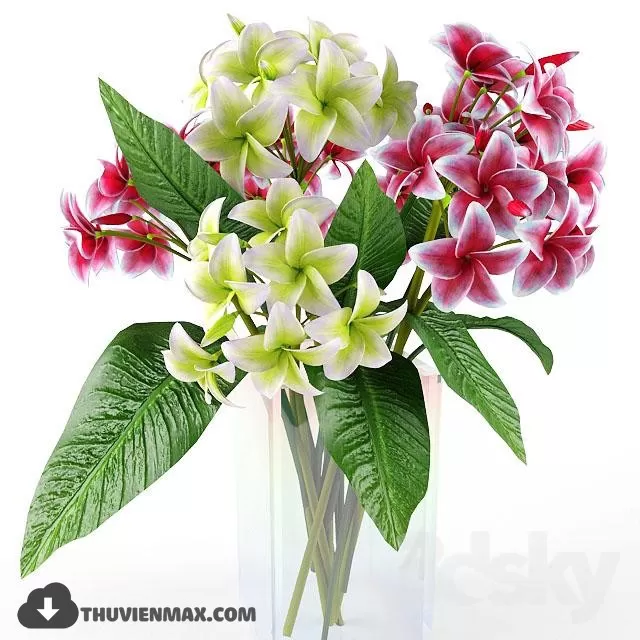 FLOWER – 3DMODEL – VASE – 227