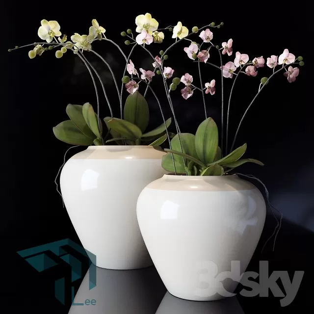 FLOWER – 3DMODEL – VASE – 233