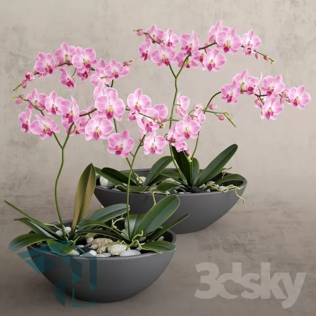 FLOWER – 3DMODEL – VASE – 241