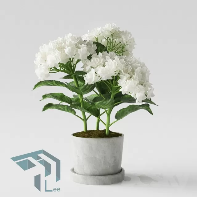 FLOWER – 3DMODEL – VASE – 261