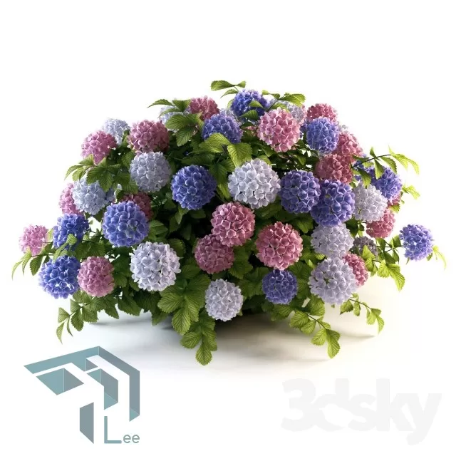 FLOWER – 3DMODEL – VASE – 278