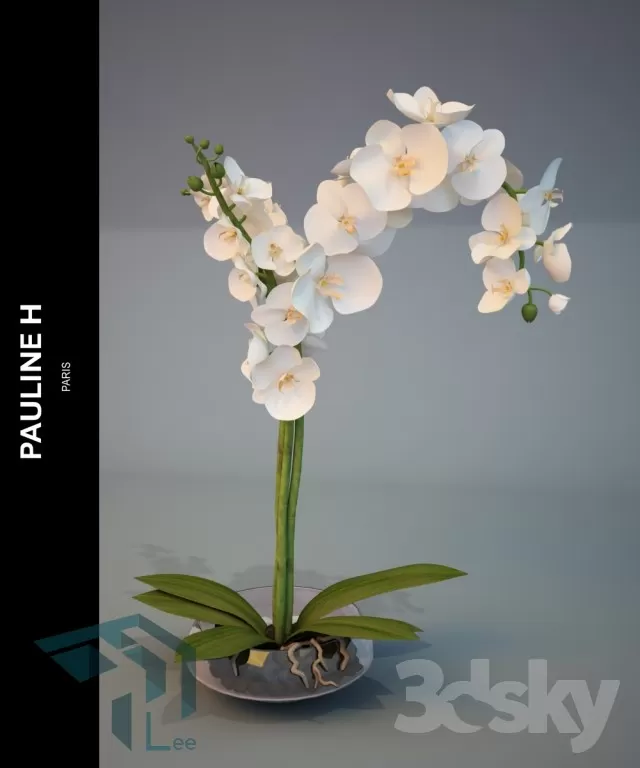 FLOWER – 3DMODEL – VASE – 281