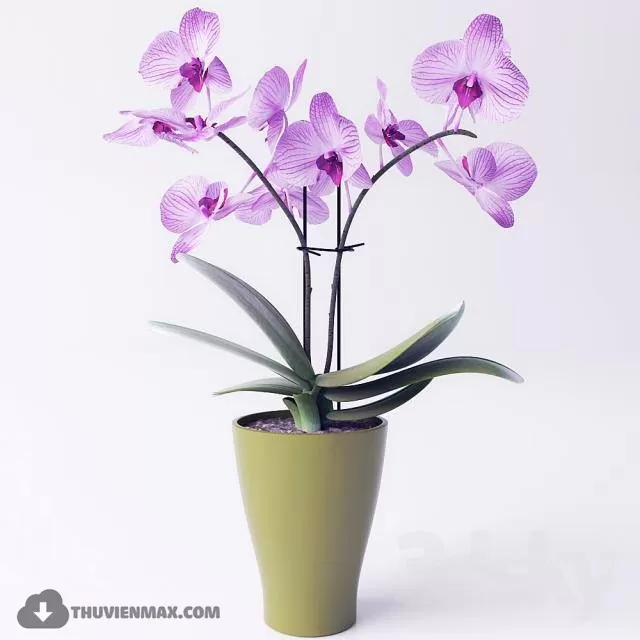 FLOWER – 3DMODEL – VASE – 298