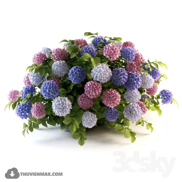 FLOWER – 3DMODEL – VASE – 301