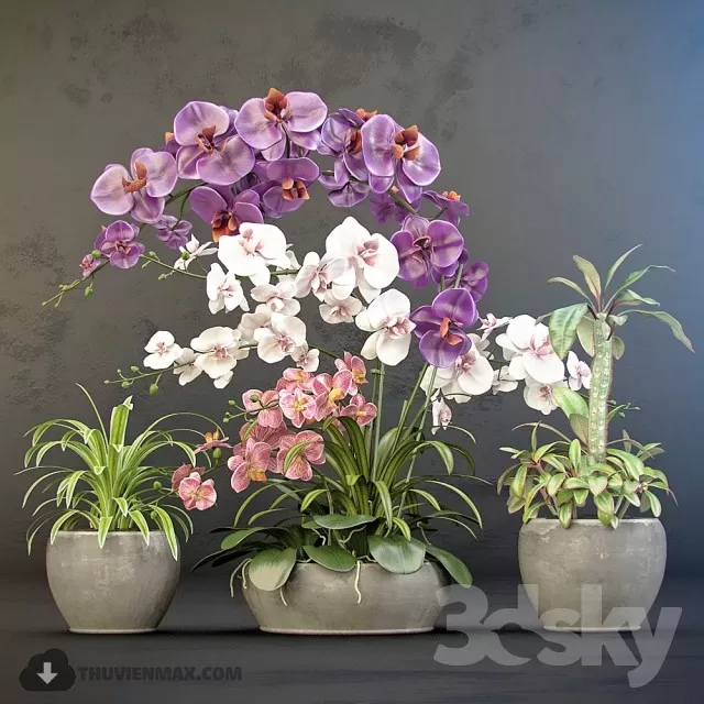 FLOWER – 3DMODEL – VASE – 311