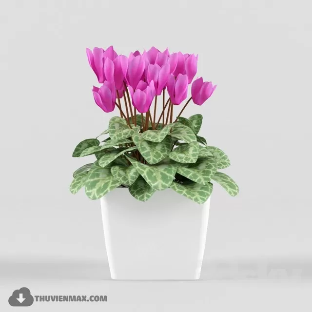 FLOWER – 3DMODEL – VASE – 329