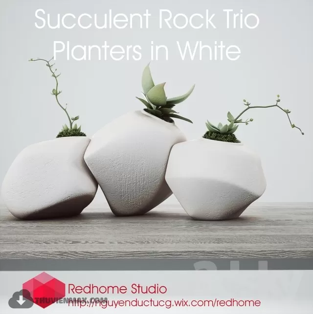 FLOWER – 3DMODEL – VASE – 345