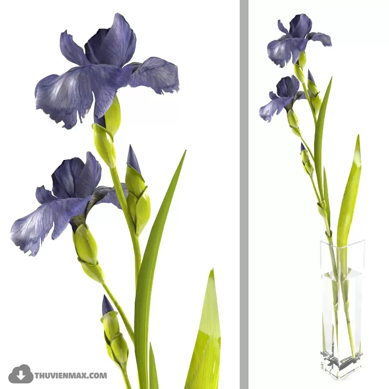 FLOWER – 3DMODEL – VASE – 360