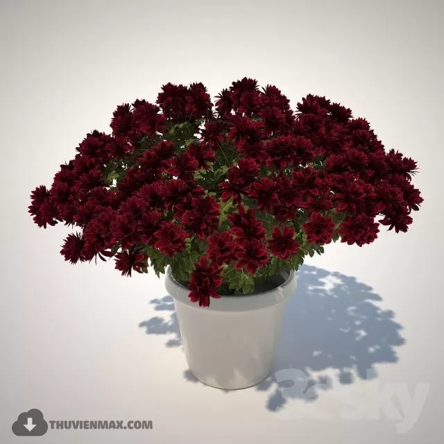 FLOWER – 3DMODEL – VASE – 364