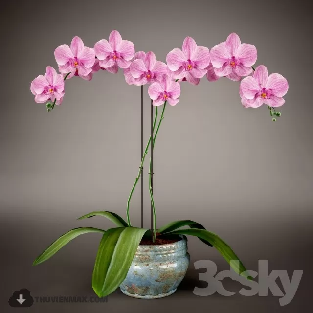 FLOWER – 3DMODEL – VASE – 425