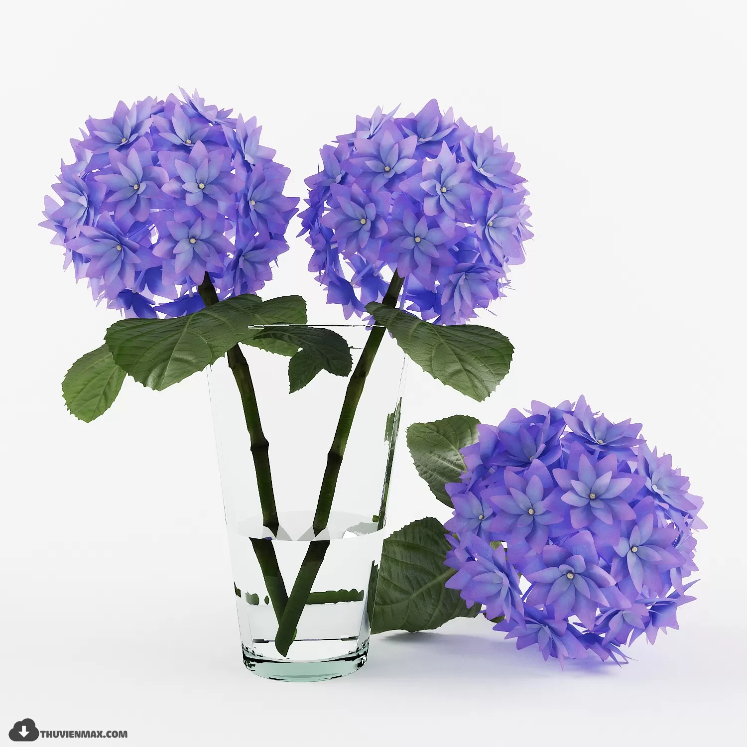 FLOWER – 3DMODEL – VASE – 493