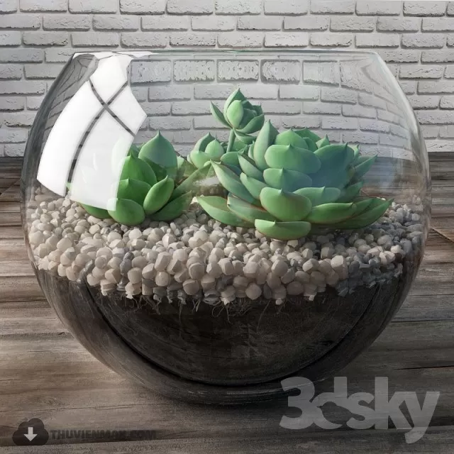 FLOWER – 3DMODEL – VASE – 494