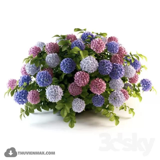 FLOWER – 3DMODEL – VASE – 508