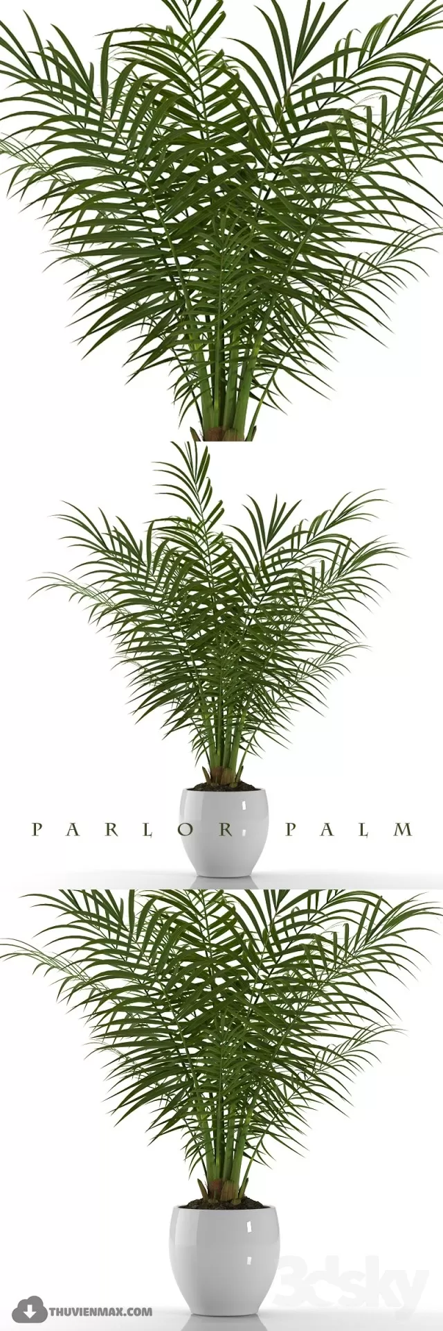 FLOWER – 3DMODEL – VASE – 524